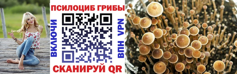 Галлюциногенные грибы Psilocybine cubensis  Анжеро-Судженск 